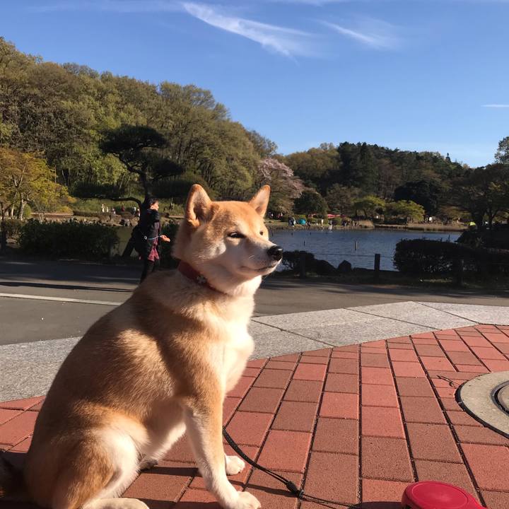 6237023b c3f3 47f9 bfa6 1ba8b9ee38c9 1555148248439