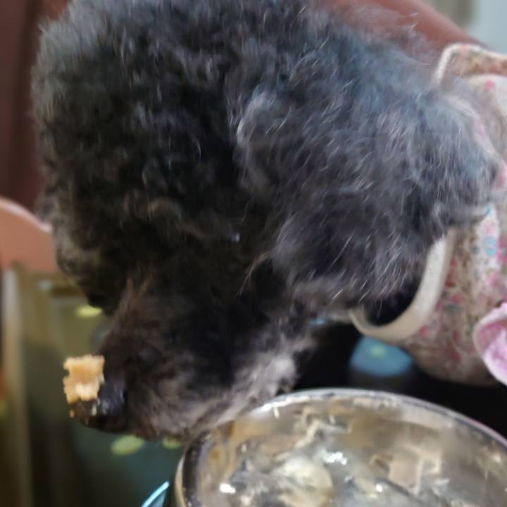 62370cf8 efa3 451b 9bd9 5c3a83bec067 1773745600510