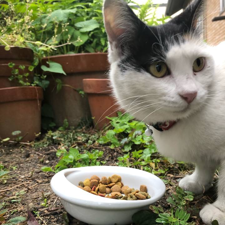 62373640 4978 4fcf 99f9 c02c915e9e03 1619562145479