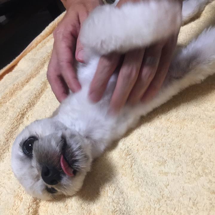 623776f2 3c97 4b78 8694 fc5c3d158973 1533914732364