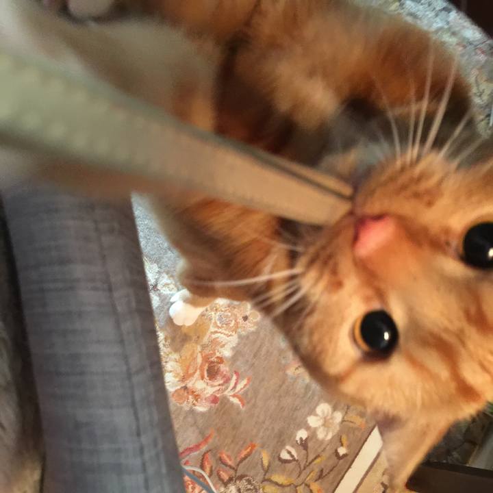 62379f60 d9fa 4199 bba3 d4a59223275f 1522887089792