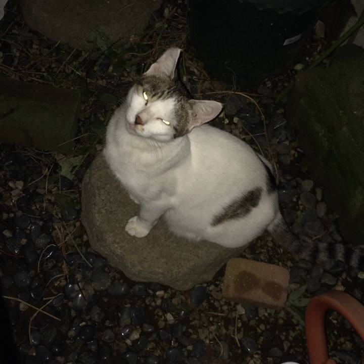 6237a2a5 fc96 42f1 a237 78c492555a49 1572093681762