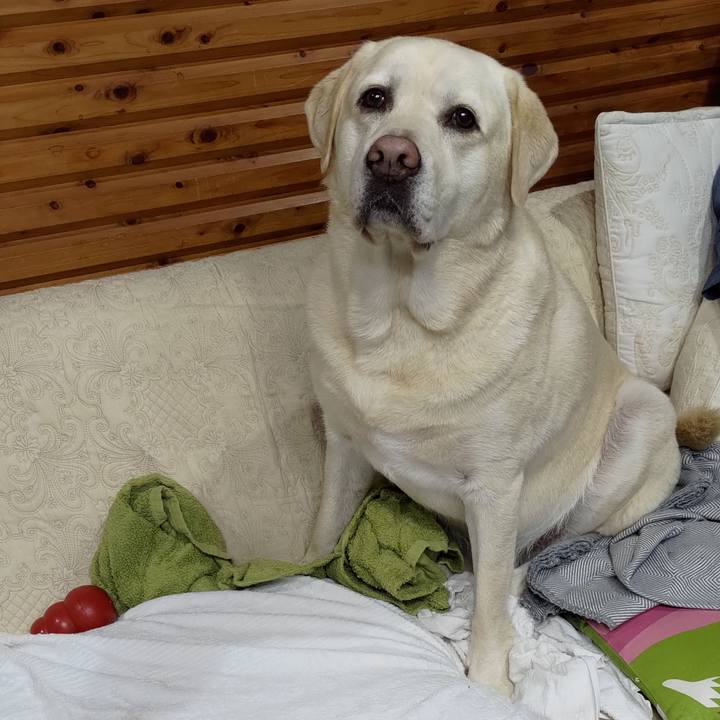 6238222f c6f1 4bc5 94f9 99d684ec6d46 1696761743321