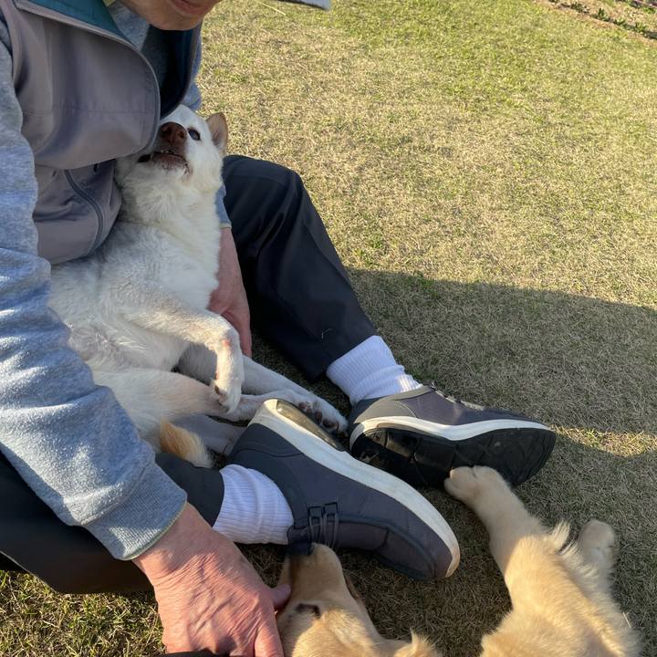 6238327b 256e 4c6c 8f30 213c8a9176a8 1679223484947