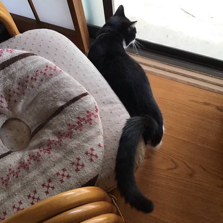 62383fd4 d884 4e4e 9c55 a429a0e45ad7 1689165383892