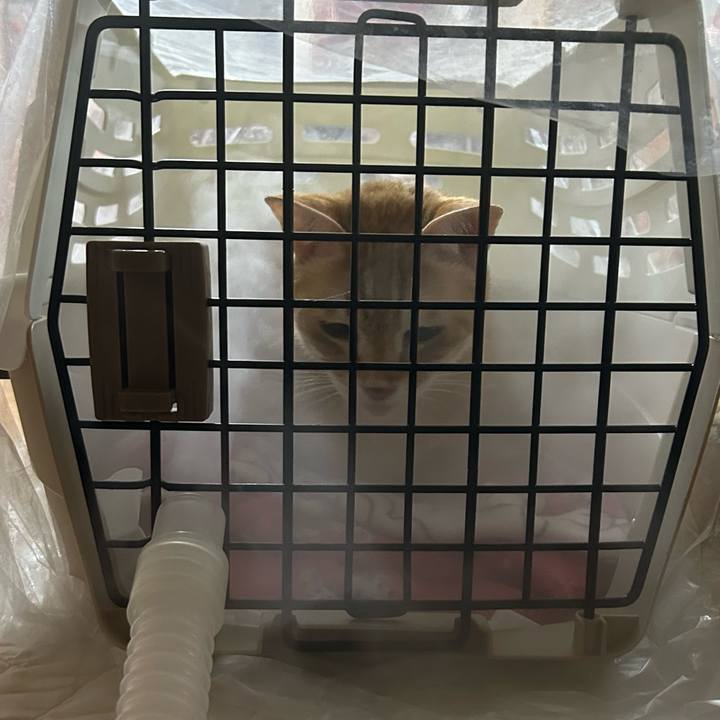 62384fe0 932c 4738 abb0 3a2e07cfb501 1677081157427