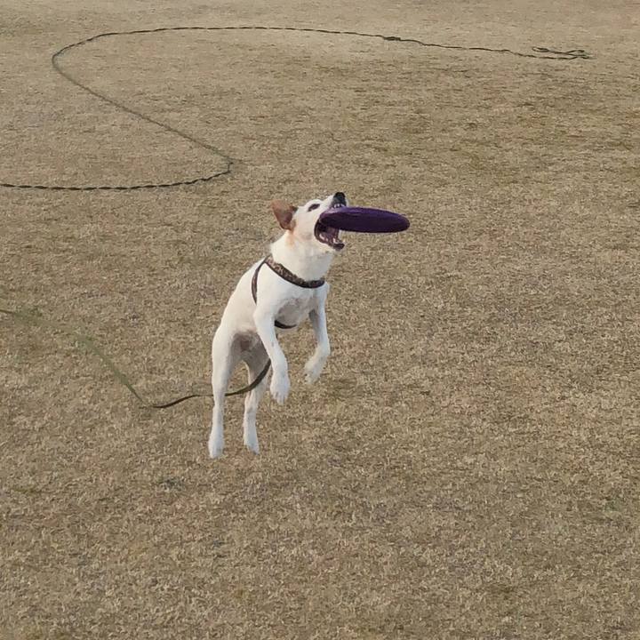 62387837 2c23 4fa5 bfdd c0a304c7af7c 1515310862897