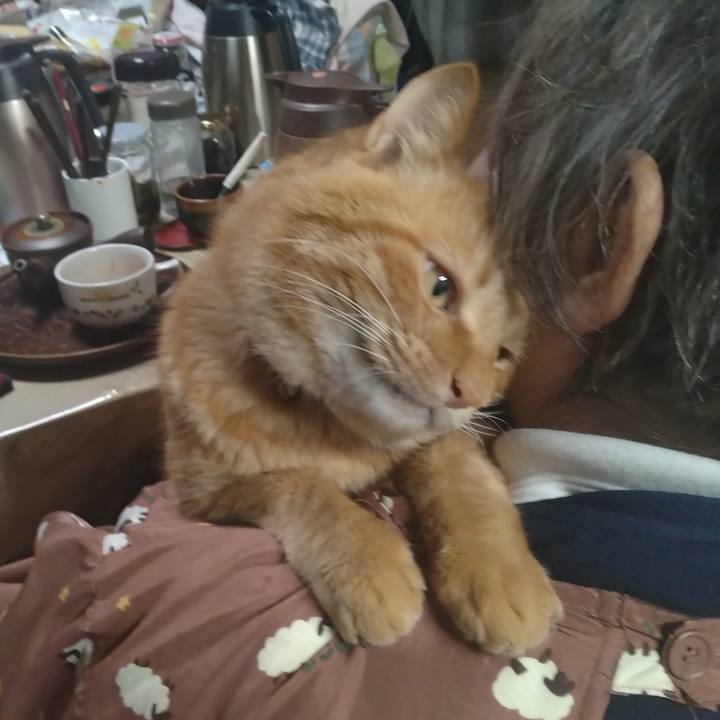 62388f5b 854c 477f a0af 7351508b47aa 1762244326511