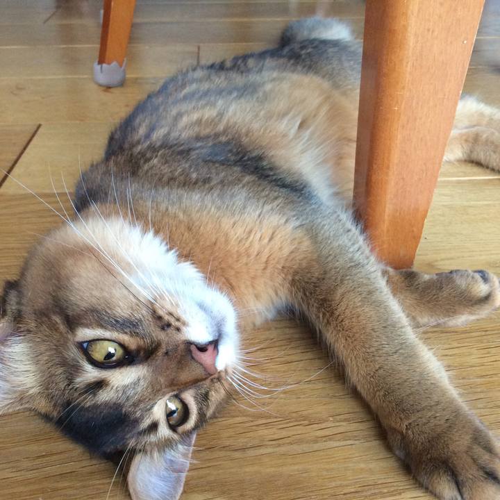 6238e164 b0ab 4292 b29c b6215ef459f7 1565559493543