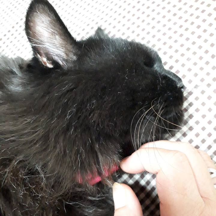 6238ed40 d4a7 40bd 8500 2006372d36fa 1534933296690