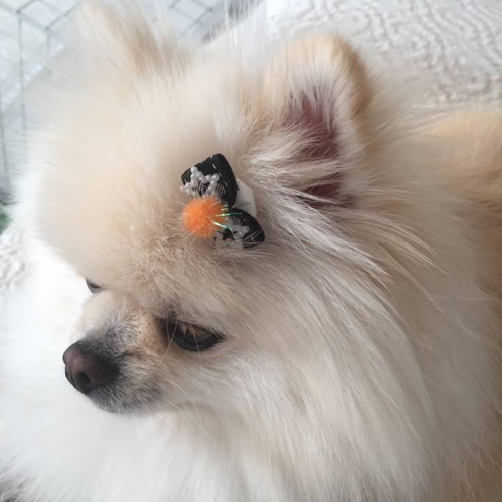 6238f5b9 8130 4b2f bdbd a5925fdabc9f 1574161148107