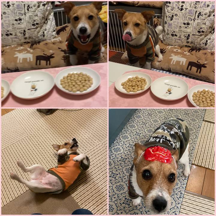 62390241 d5a2 481a b2d1 091b3021e8bd 1580731597872