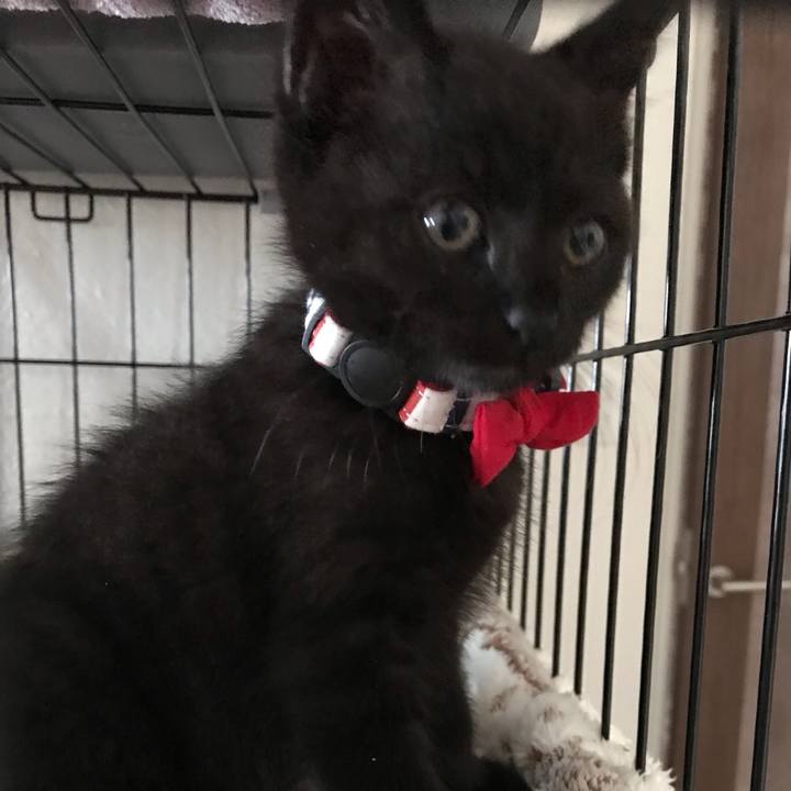 62390cae a487 42e0 aaa1 3581daf0888a 1658718077184