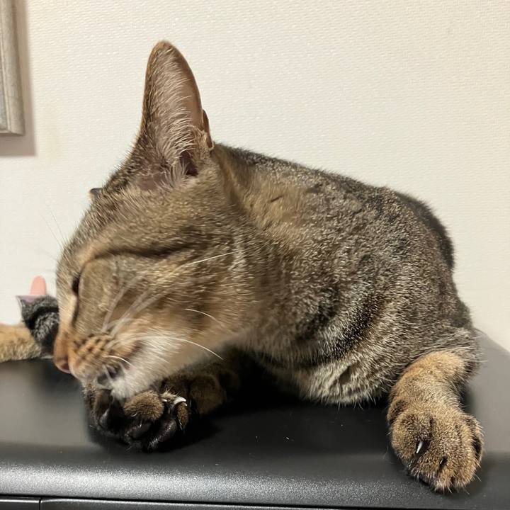 62392d94 a7e7 4873 ae2a 458c107af9d5 1761610289301