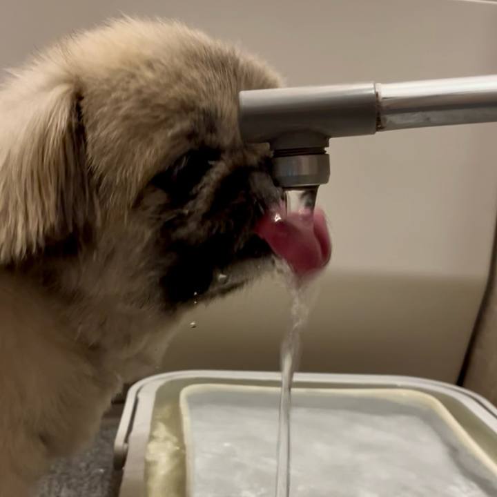 62395b53 2f8c 4250 8e1b 974adb1d3305 1747739810359