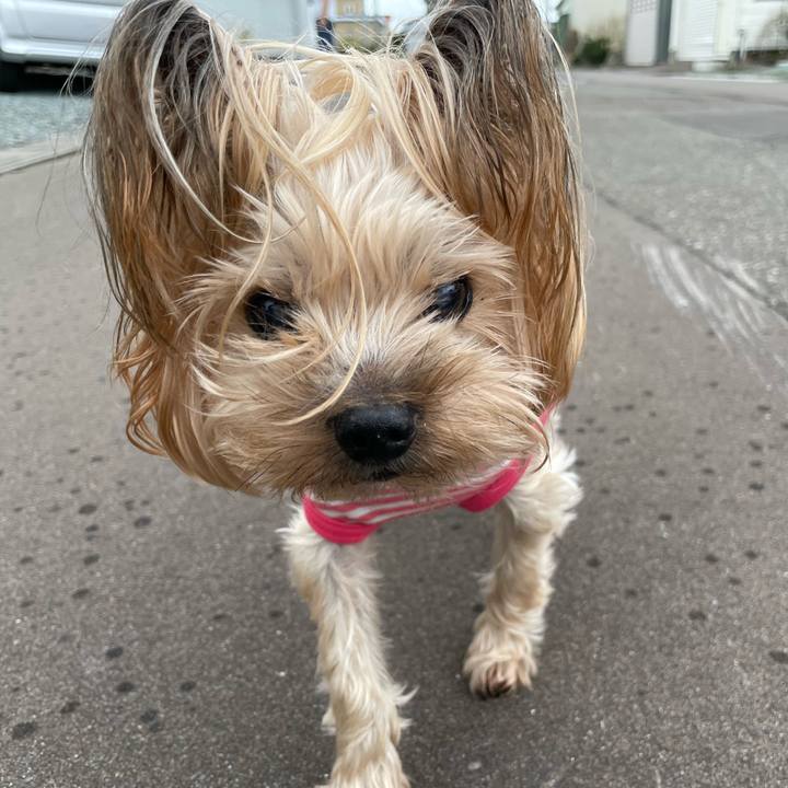 62397b4c f75a 46f1 ba47 eef94c82cc59 1663579087469