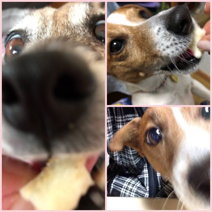 62398098 e55b 450f 99c5 654b225cf6be 1521462567924