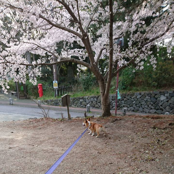 62398e63 2920 4b38 a1e2 21f7051ddcfd 1585897528244