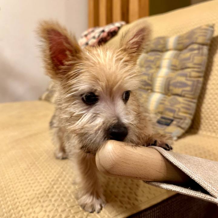 623a0ac6 942e 4bd2 9b9b ee1596e7cb61 1701004558260