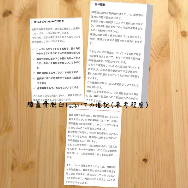 623a12b7 5b62 405e 97c4 ba9591de5167 1518188544810