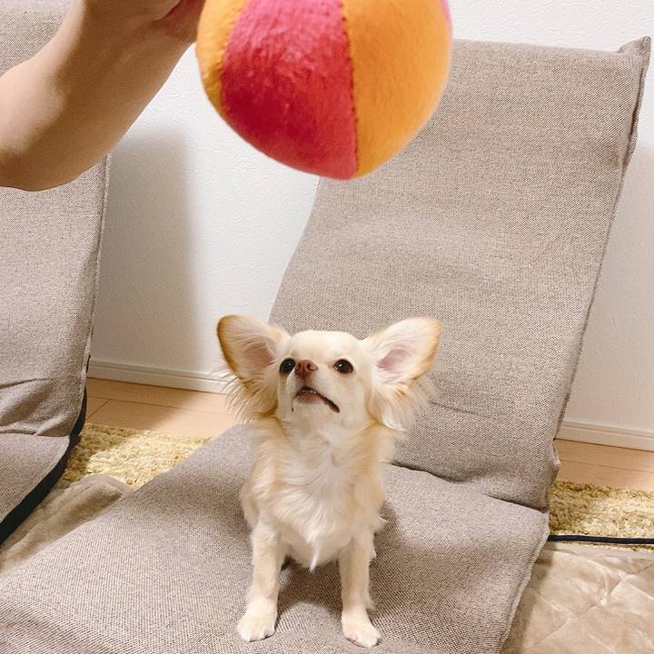 623a1e2b abaa 47d8 9168 bbcc64c4555c 1618814669711