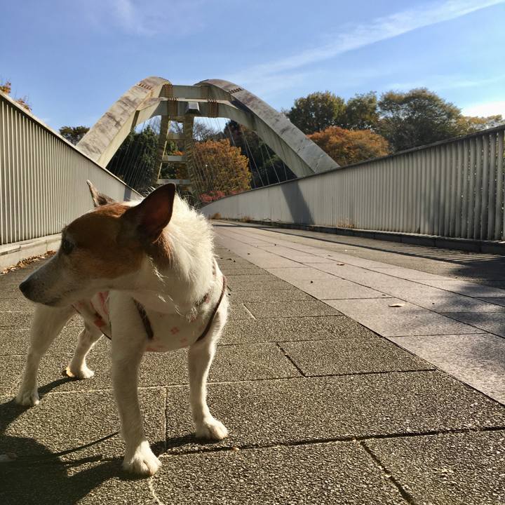 623a6751 c90f 4a7e b6c0 095bf2239fa5 1636327924889