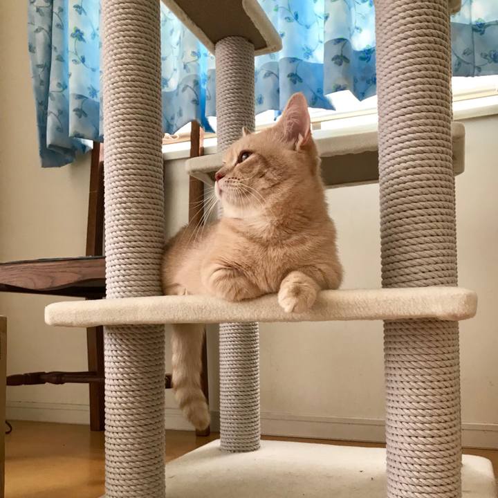 623ac61c 3724 40c8 823e f6d868946b3d 1526690346249