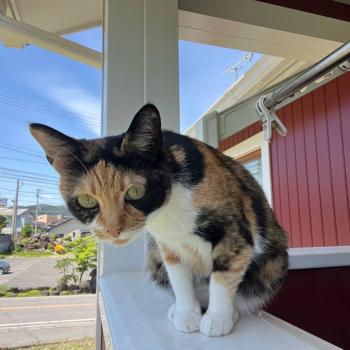 623acf7a 9183 44a5 96da 781415895a90 1685843433236