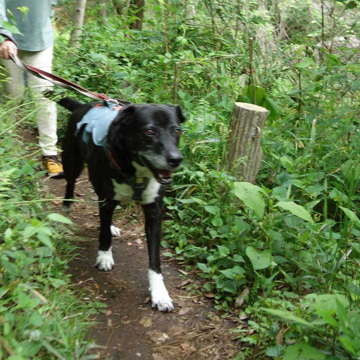 623adee6 90d1 4463 a3e5 a31847702ac2 1746402746886