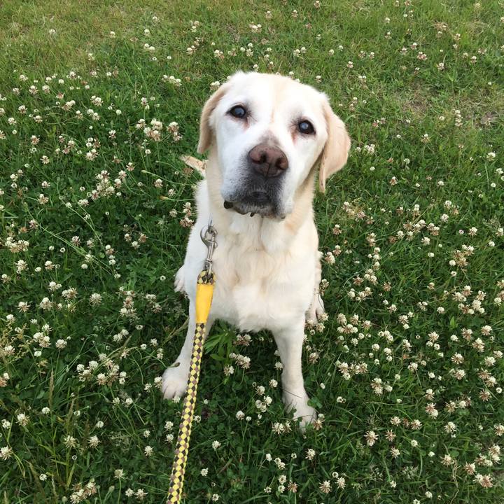 623b2ead 74a6 47e8 abf7 dd7384a5f373 1527587107109