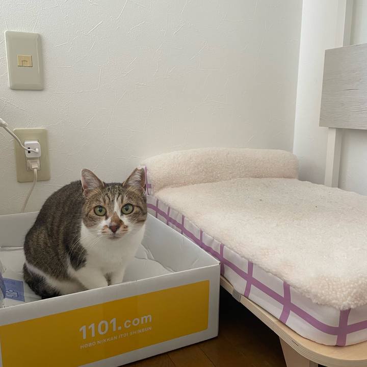 623b8005 94f1 43bf 9043 31d60527e6e0 1748470586114