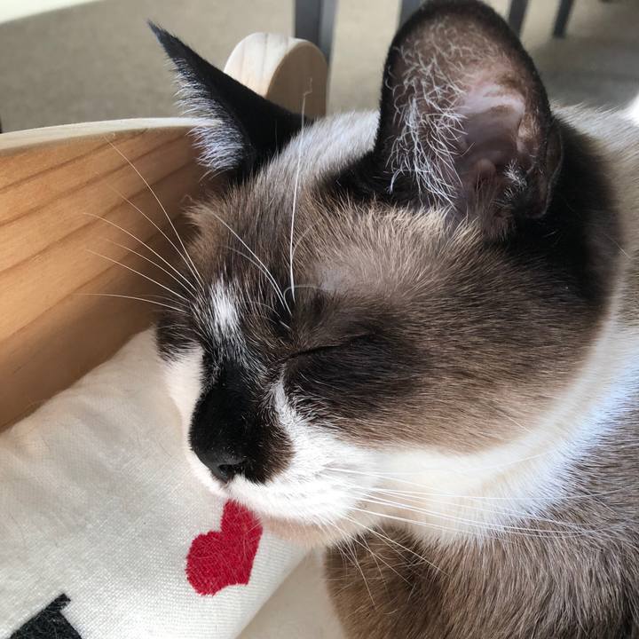 623baa88 e4fb 4476 aac9 235cc25d5ea1 1612761241520