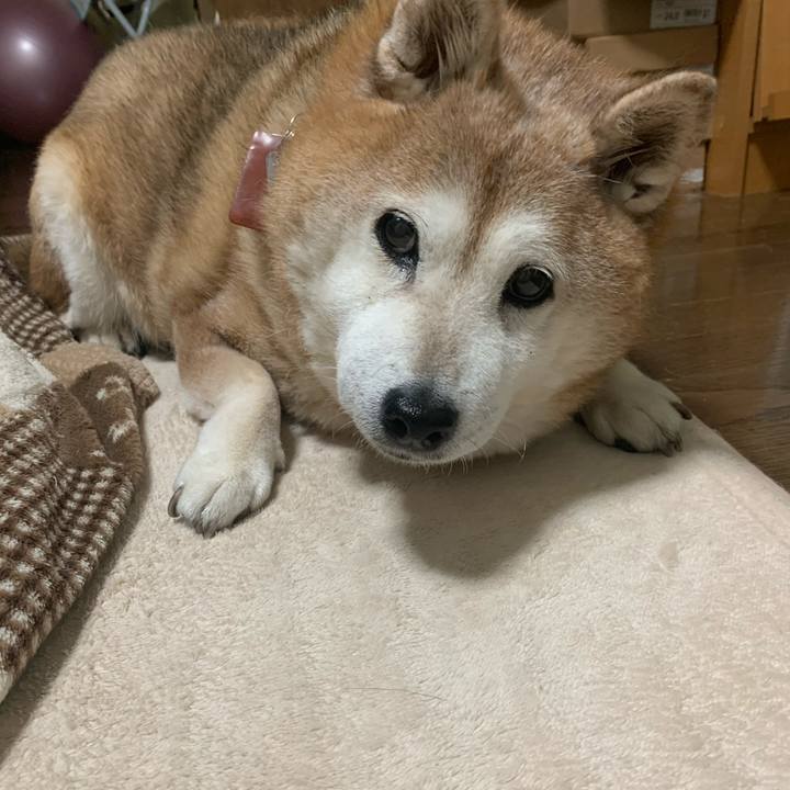 623baebb ce87 4116 9469 ef1c41742df0 1611234067863