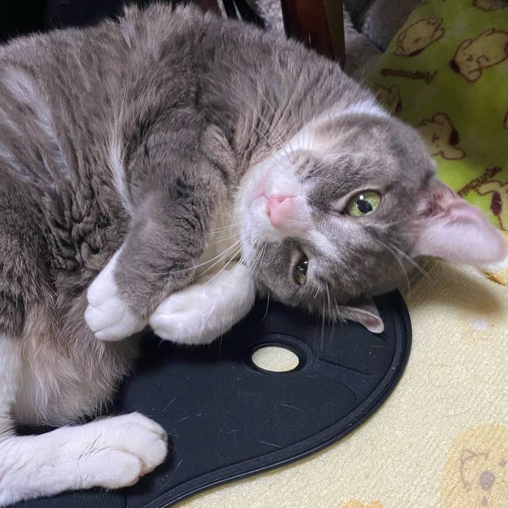 623bbb07 e727 442f b271 3c0d33eb305f 1728713332726