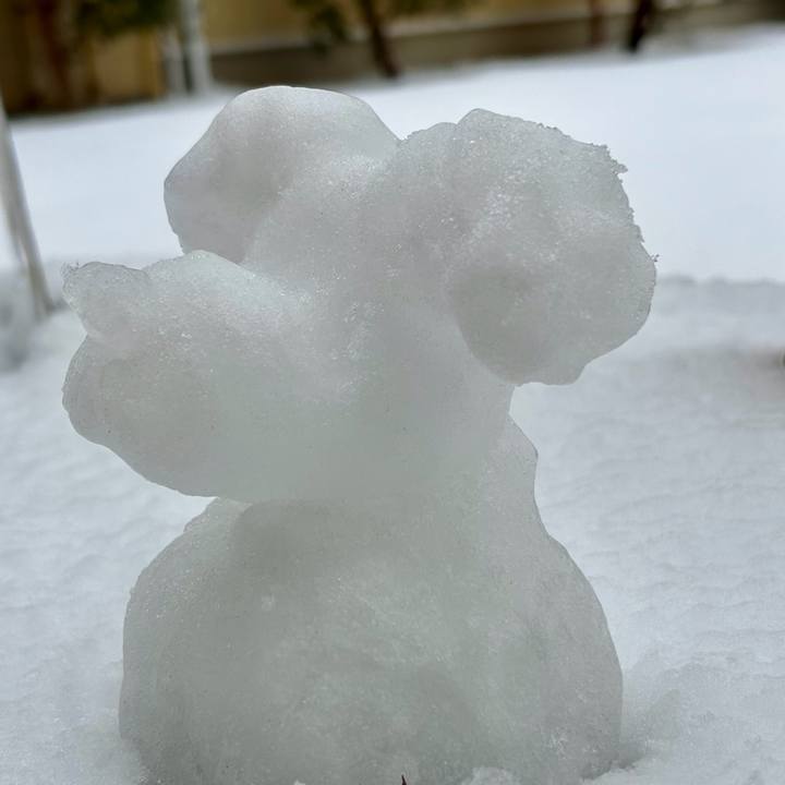 623bc2ab 1b93 48f0 9e8e 921789c09d3c 1770533548132