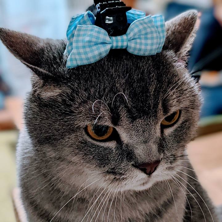 623bc499 03a0 4686 ab27 bc33debef495 1664684458641