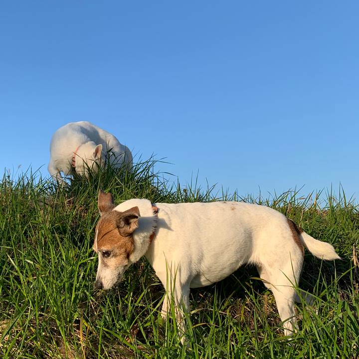 623c1b4c e59b 4141 858a fa32961dad91 1579390325525