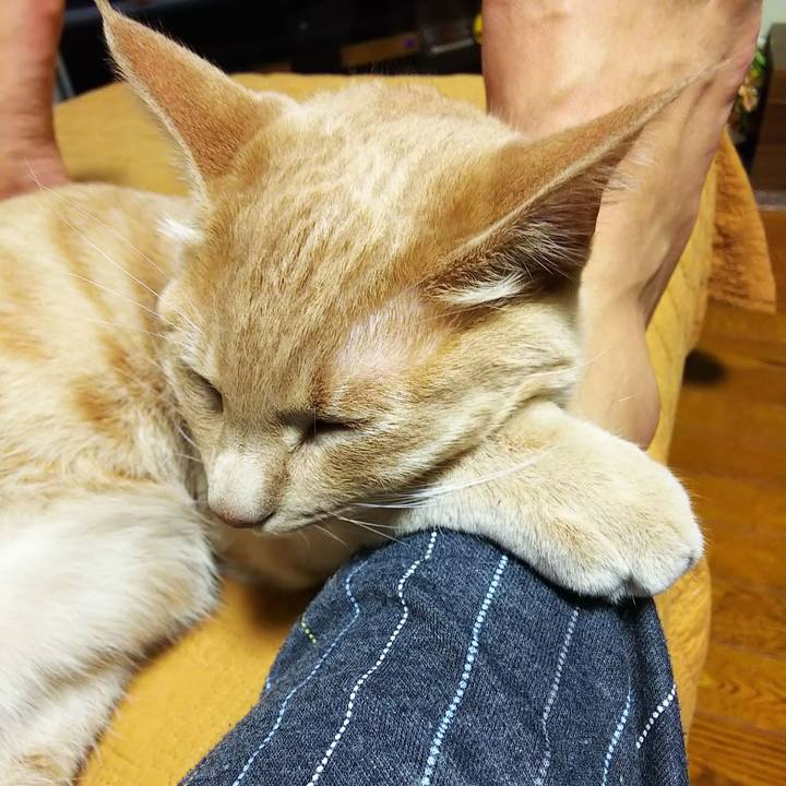 623c60a8 3f39 4e76 b286 96ff2b59ece0 1558178568747