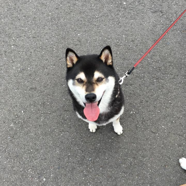 623c6bee edc9 4e52 a40f 31e2bf16a7a9 1558059808511