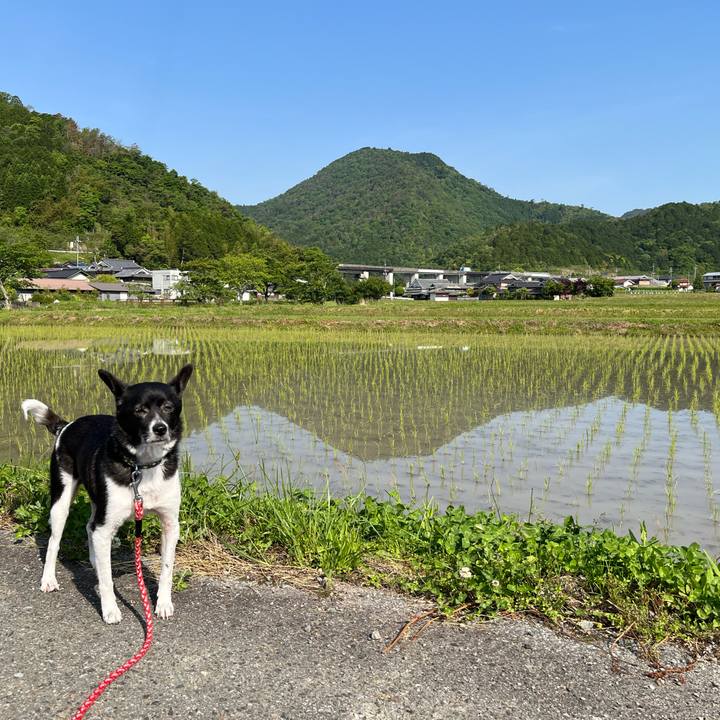 623c9682 32dd 431f a6ed 20ee119dadcf 1652960759679