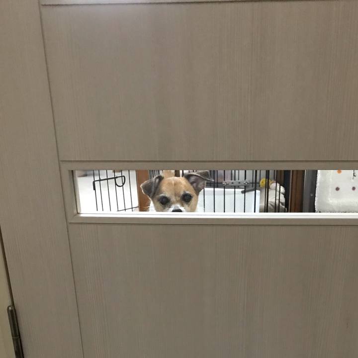 623ce785 e598 4c5c 94b1 efe616d84e71 1567136705310