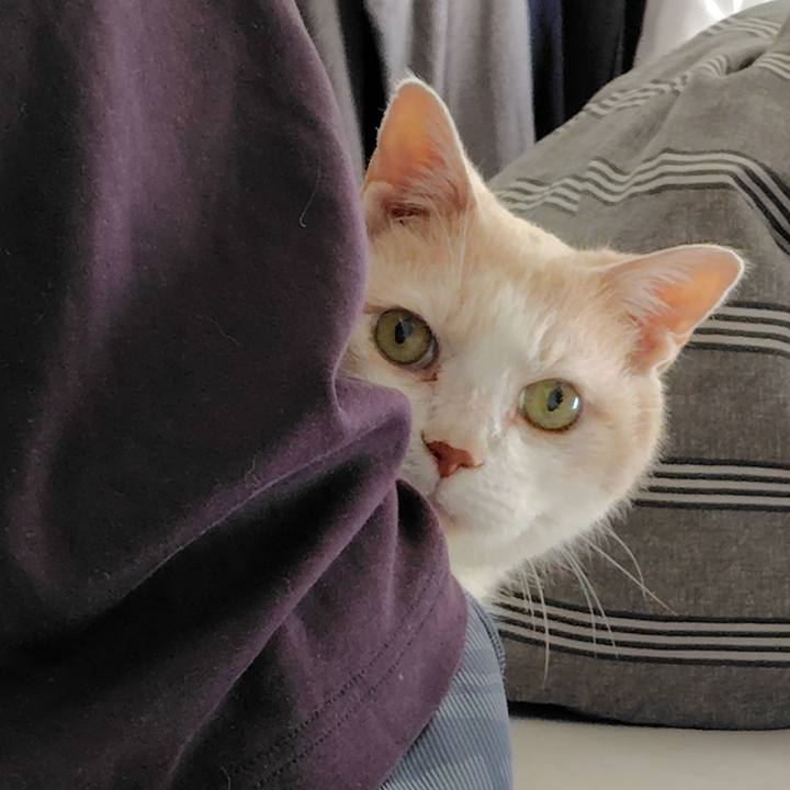 623cf590 2e45 4b08 ba4d c044270b85c3 1763165368117