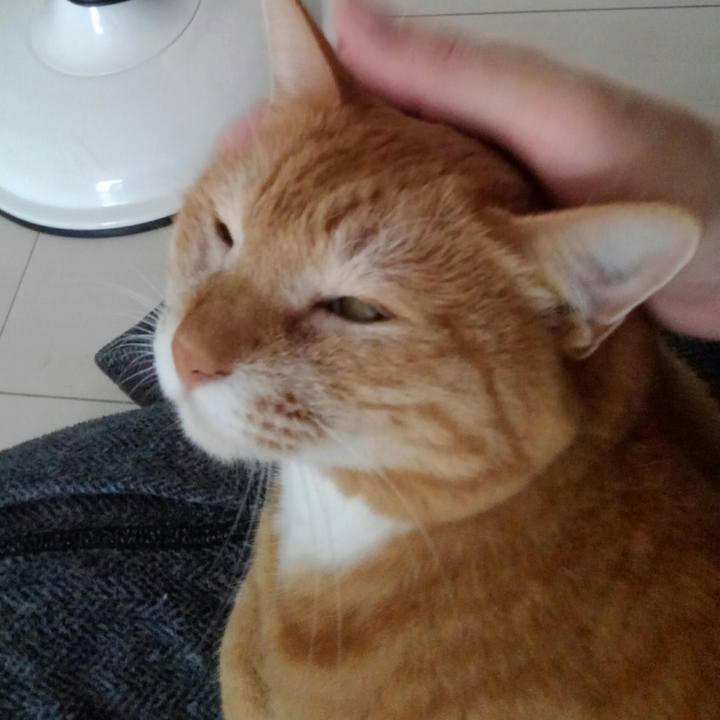 623d0afe 4143 4445 a2ae 2beb6f6dc21e 1566783519670