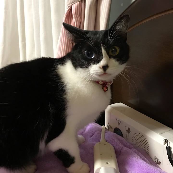 623d1397 3709 4358 85cf 7f8fb8cb5c39 1542542572436