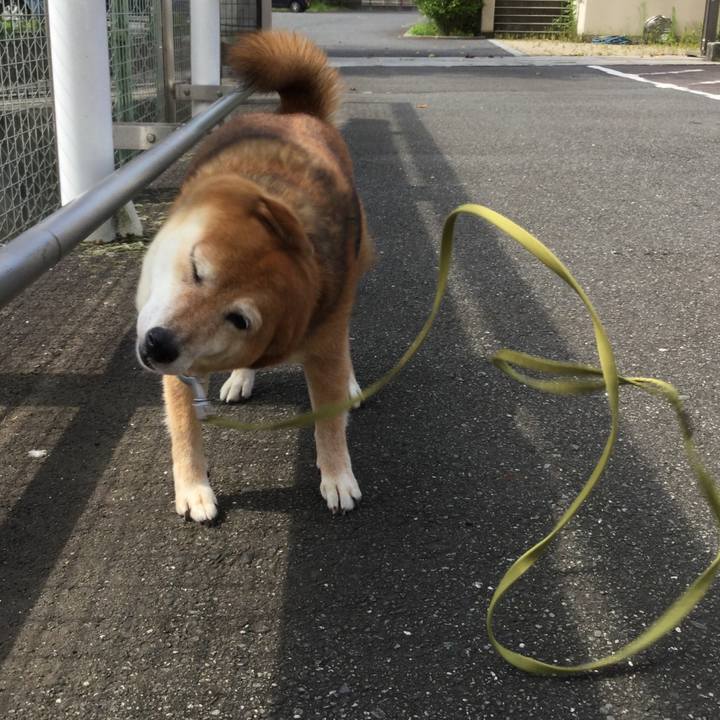 623d4f85 6c7a 439b 87eb e0cc08482215 1596416018121