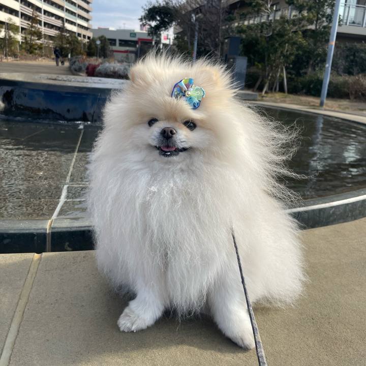 623d6e2d 54e5 4d7c 92e5 672c389acfa7 1737423097791