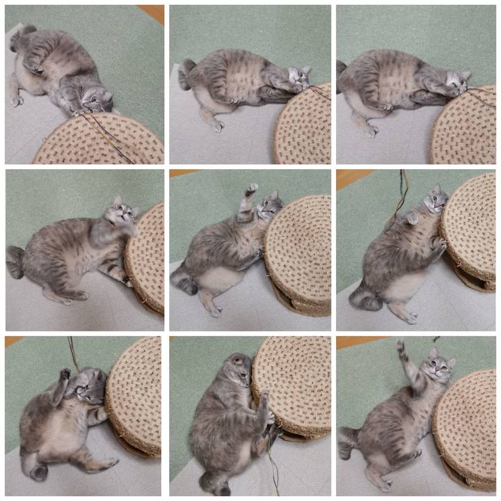 623d7830 e5a1 4db1 894b fa56fd075d08 1607866284774