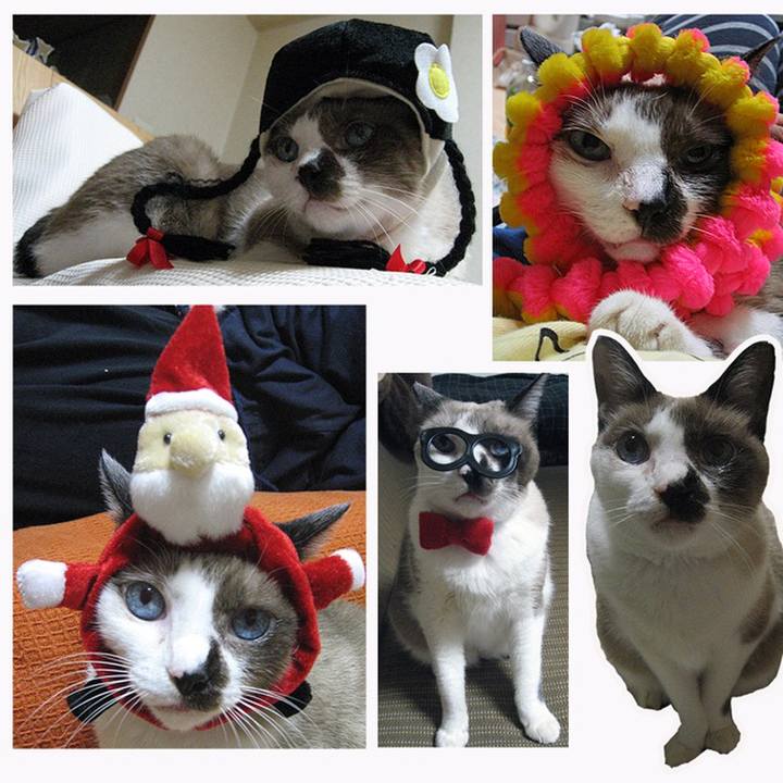 623d8db1 fb9e 4c94 9c54 fe976ef60028 1720408352350