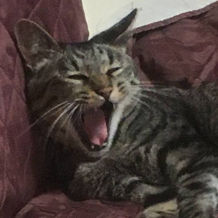 623e0105 ee39 4d46 b5de 8909df489733 1590678146757