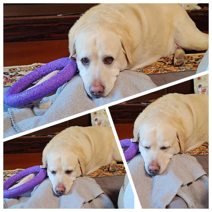 623e1b11 952e 4222 9c69 d06003adfb14 1738995260268